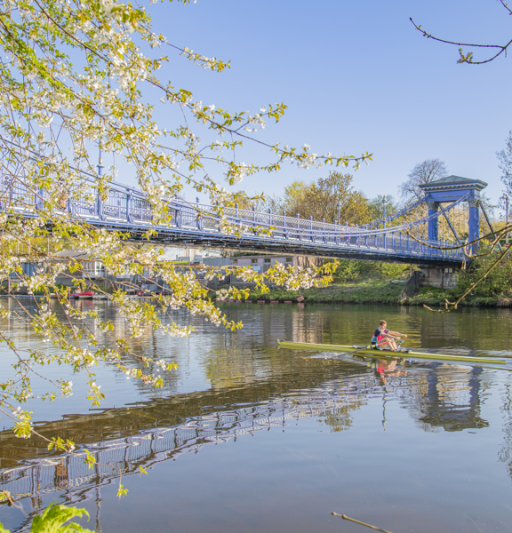 Sunny view of a rower on a single scull on the tree-lined River Clyde with the blue St Andrew's suspension footbridge in the background