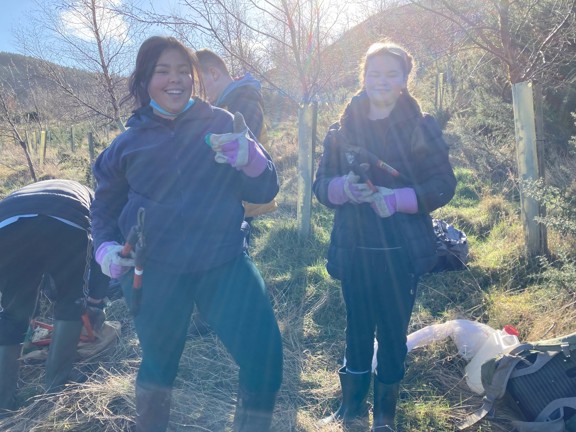 Two volunteers carrying out tree care