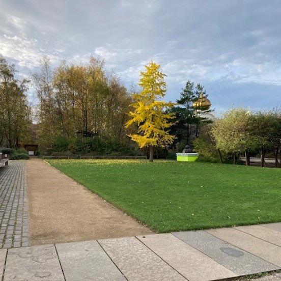 Hidden Gardens lawn with trees