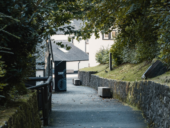 Country lane that leads down through an archway of green folliage to a white building know as Glengoyne Distillery. 