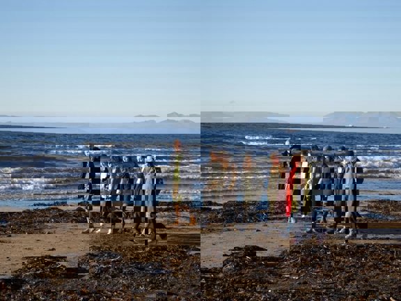 Group of people walking along the beach.