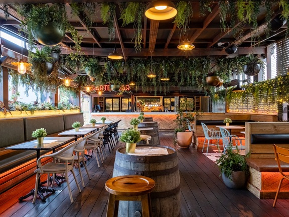 Modern bar with various wooden tables and chairs, greenery hanging from the ceiling