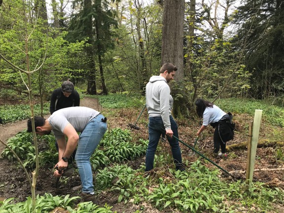 Group doing conservation work in the forest