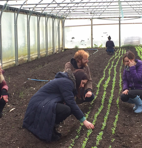 4 people gardening in a greenhouse
