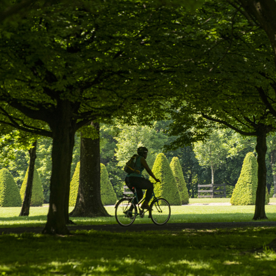 Lone cyclist under the trees in the greenery of Glasgow Green