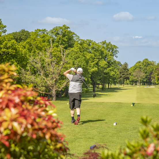 Golfer just after a swing, amongst greenery