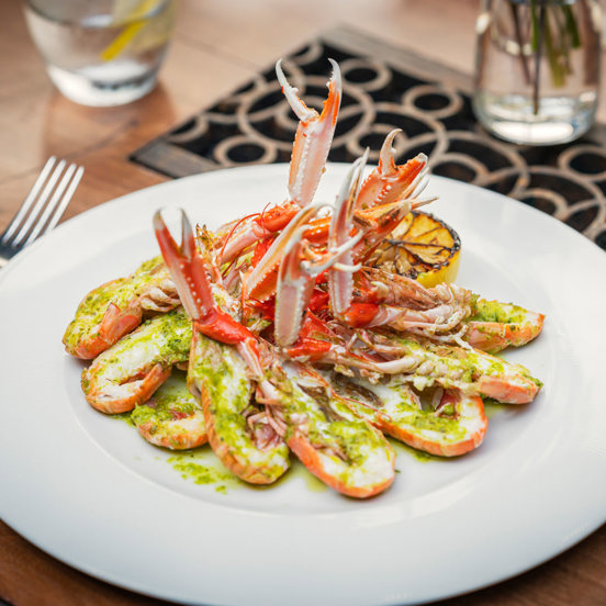 White plate with artfully arranged langoustines